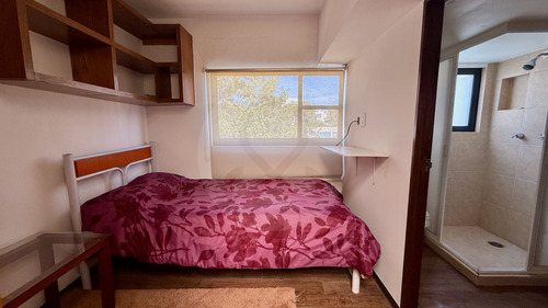 Departamento En Venta En Polanco