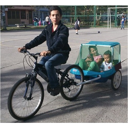 Remolque Carrito Trailer Para Bicicleta Para Niños O Mascota