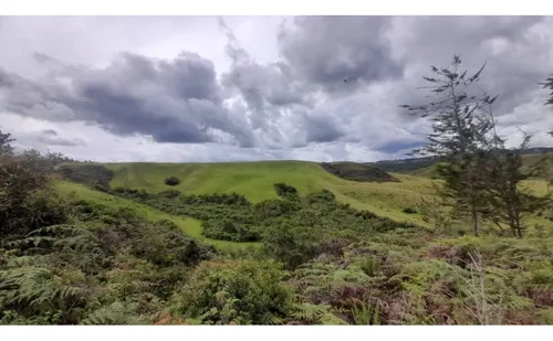 Venta De finca En Santa Rosa De Osos, Antioquia