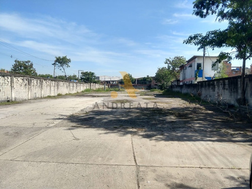 Imagem 4 de 4 de Terreno Com 3335 M² Aluguel Na Rua Carlos Seidl - Caju - Loc5003l - 31975331