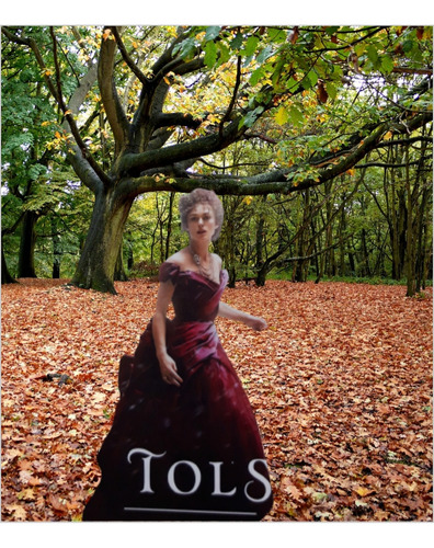 Clasico Leo Tolstoy Anna Karenina .completa. En Ingles (Usado)