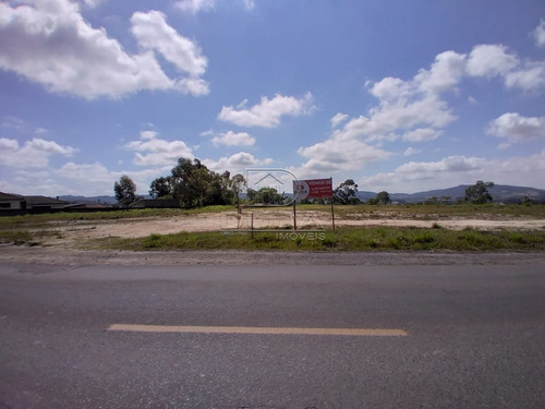 Imagem 8 de 10 de Terreno - Rio Maina - Ref: 33438 - V-33435