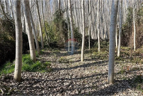Venta De Terreno, Cuesta De Idahue, Coltauco