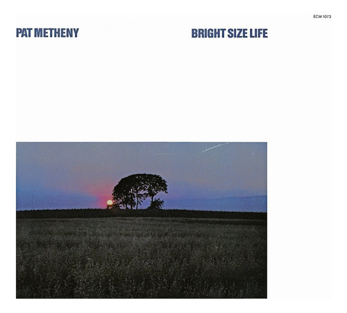 Pat Metheny Bright Size Life Cd