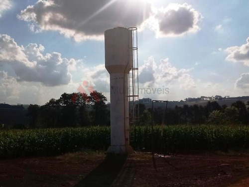 Imagem 2 de 14 de Oportunidade Sítio Criação Frangos Ibiporã - Mi265