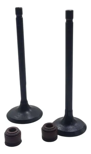 Valvulas Adm Y Escp Apache 180 / 160 Con Sellos