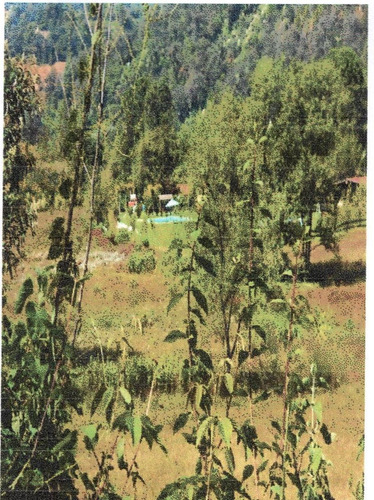 Terreno En Venta En Ex Hacienda San Lucas Del Pulque.