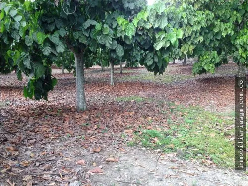 Venta Lote En Sopetran Ant. Suburbano.