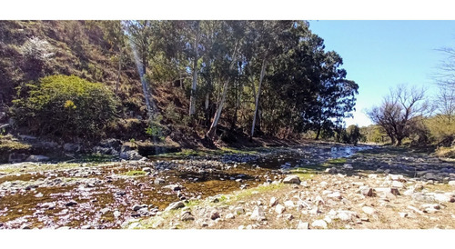 Imagen 25 de 30 de Venta. 67 Hectareas En Candonga, Cordoba. Con 2 Km De Costa De Rio. Titulos Perfectos