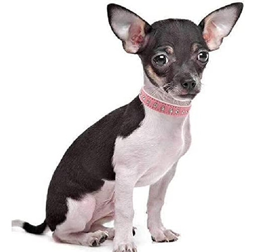 Collar De Perro Cristal Bling Rhinestone Pu Cuero Cachorro G