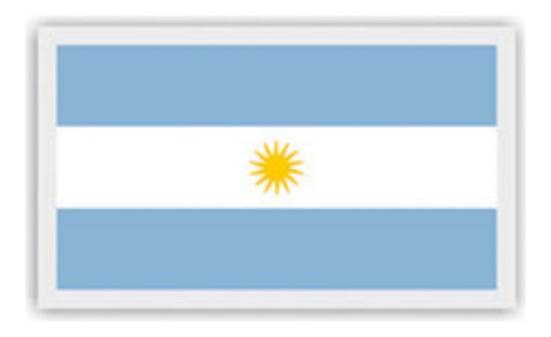 Aplique Termoadhesivo Parche Sublimado Bandera Arg. Xl X12 