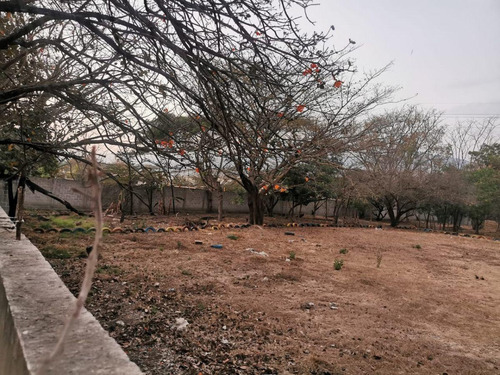 Imagen 4 de 4 de Terreno - Plan De Ayala