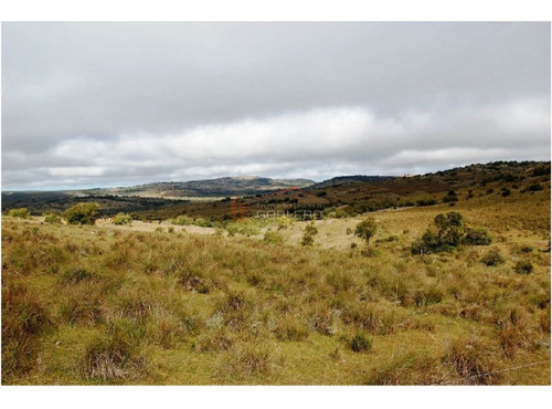 Imagen 9 de 13 de Campo En Venta En Uruguay, Treinta Y Tres, Oportunidad!!!- Ref: 25013
