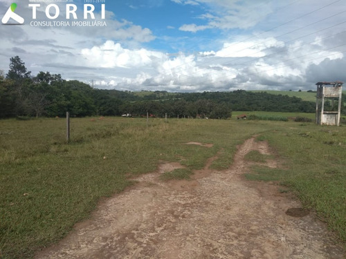 Sítio À Venda Em Porto Feliz - St00138 - 69329856