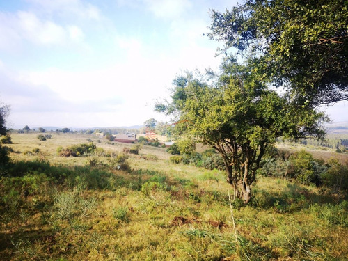 Imagen 5 de 30 de Venta De Chacra Con Vivienda, Ruta 12 Próximo A Pueblo Edén