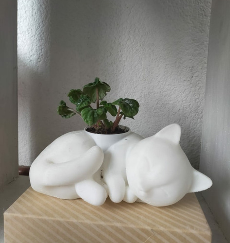 Macetero De Gato 3d Ideal Para Plantas Pequeñas