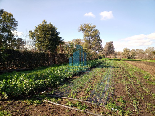 Venta Hectarea En General Rodriguez 