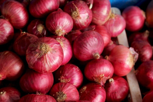 150 Semillas De Cebolla Shallot + Instructivo