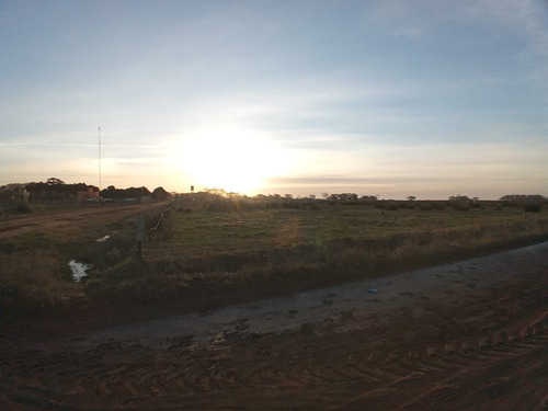 Imagen 8 de 10 de Oportunidad Paraje Pavón Venta Fraccion De 5626 M2