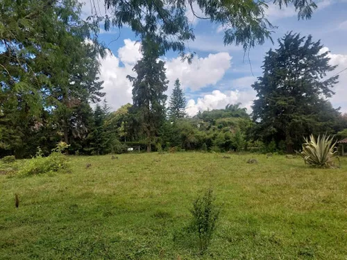 Lotes En Venta Llanogrande 743-7717