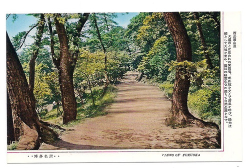 Postal Vintage Japon Vista De Fukuoka 391 B3