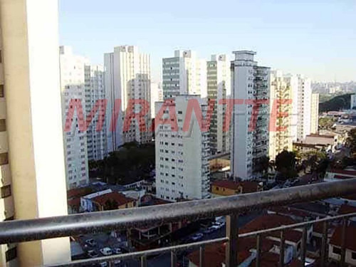 Imagem 5 de 5 de Conjunto Comercial Em Santana - São Paulo, Sp - 324892