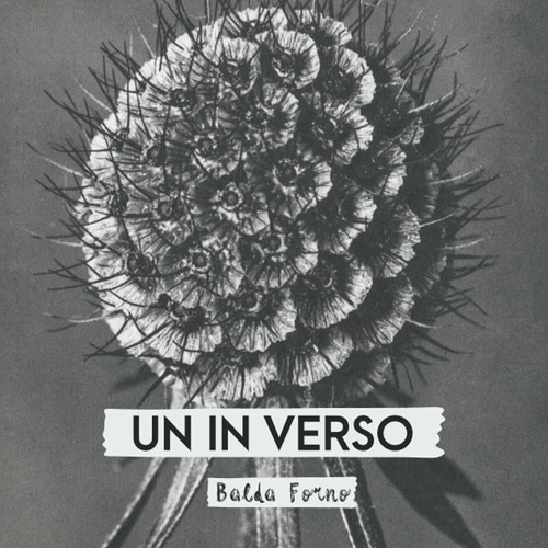 Libro: Un Inverso: Edición En Byn (spanish Edition)