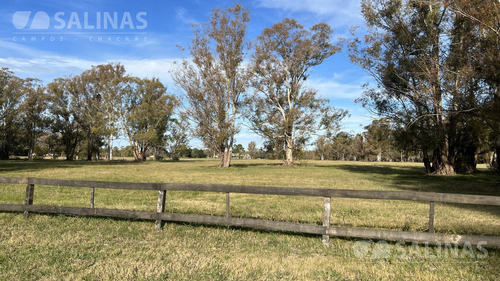 Terreno En Quebradas Villa Rural