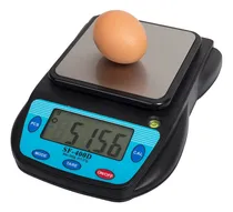 Comprar Balanza Digital Gramera Centesima 0.01gr  500.00gr Analitica