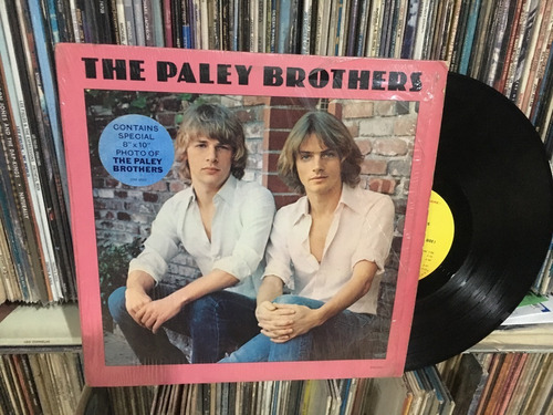 The Paley Brothers Vinilo Lp Original Usa 1978 Power Pop