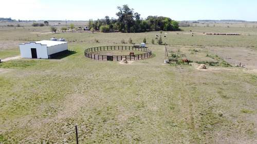 Imagen 7 de 19 de Campo - Coronel Brandsen