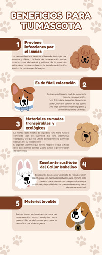 Bata De Recuperación Para Perros Transpirable Blanco Talla 3