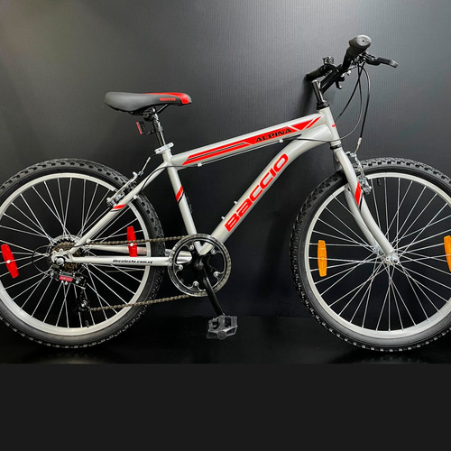 Bicicleta Montaña Baccio Alpina Man Rodado 24 Gray