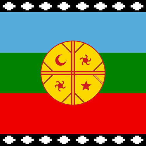 Bandera Estampada Mapuche 60 X 100 Cm