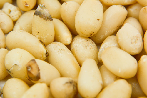 Imagen 5 de 9 de Piñon Blanco 1 Kilo