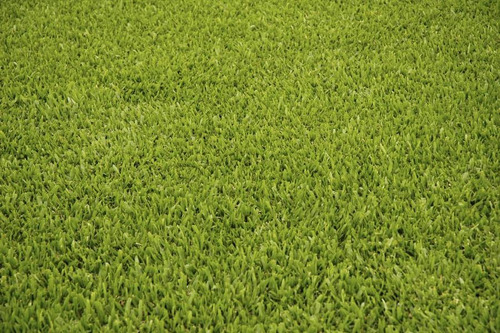 Césped Grama Bahiana Premium - Productores - 10m2 O Menos