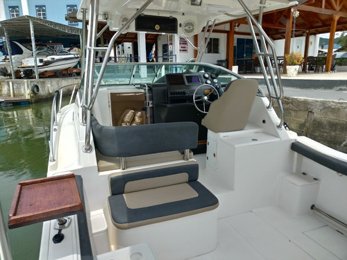 Lancha Fishing 28 Wa