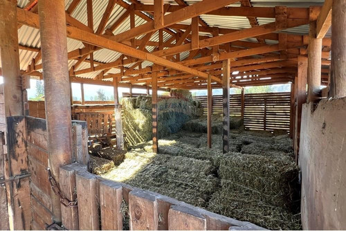 Sitio En Venta En Paine