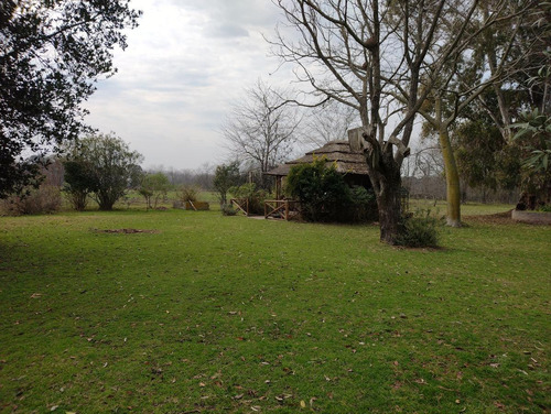 Imagen 12 de 19 de Chacra 4 Hectareas - Los Cardales - Ruta 39