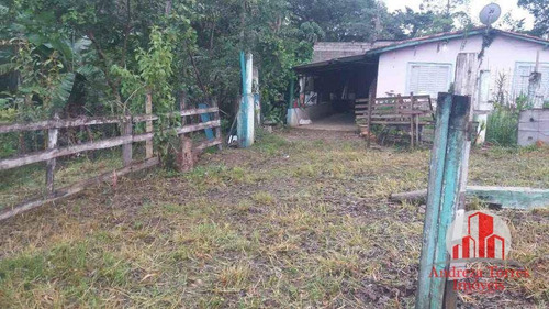 Imagem 6 de 21 de Chácara No Pinheirinho Em Taubaté ! - Ch0108