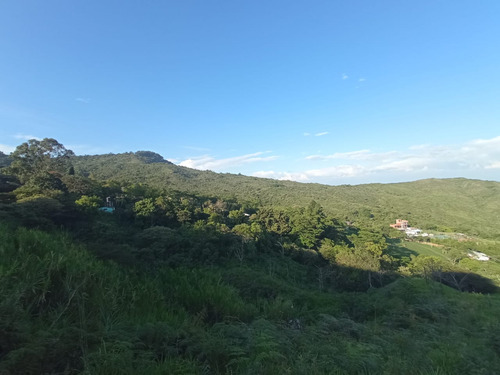 Venta Lote N° 1 En Parcelación Campestre Dapa