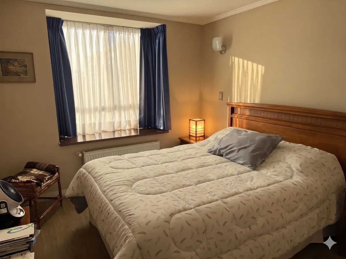 Imagen 4 de 14 de Venta Depto En Providencia | 2d+2b+2est+1bdg | Pasos Metro