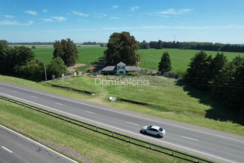 Imagen 14 de 16 de Campo En Venta - Cortines, Luján, G.b.a. Zona Oeste