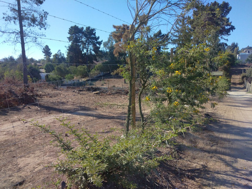 Reñaca, Los Pinos, A 2 Cuadras De Avda. Gastón Hamel
