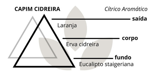 Imagem 5 de 5 de Vela Aromática Premium Capim Cidreira 140g 30h