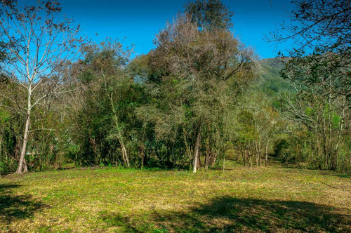 Imagen 9 de 12 de Terreno + Venta + Castellanos + 1.693 M2