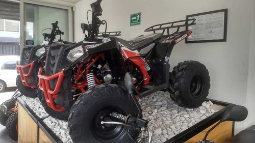 Cuatrimoto Polar 110 Motor 4t