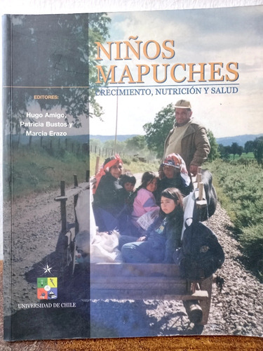 Libro De Investig 3 Años En Salud Pública Con Niñxs Mapuche 