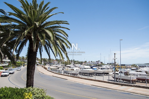 Apartamento En Venta Con Vista Al Puerto- Ref: 2002