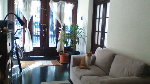 Imagen 3 de 19 de Dueño Vende Casa De Época Remodelada, Planta Baja, En Zona Tranquila De Pocitos. 120 Mts Cuadrados Superficie Total Del Terreno. Con Garaje Y Patio.
